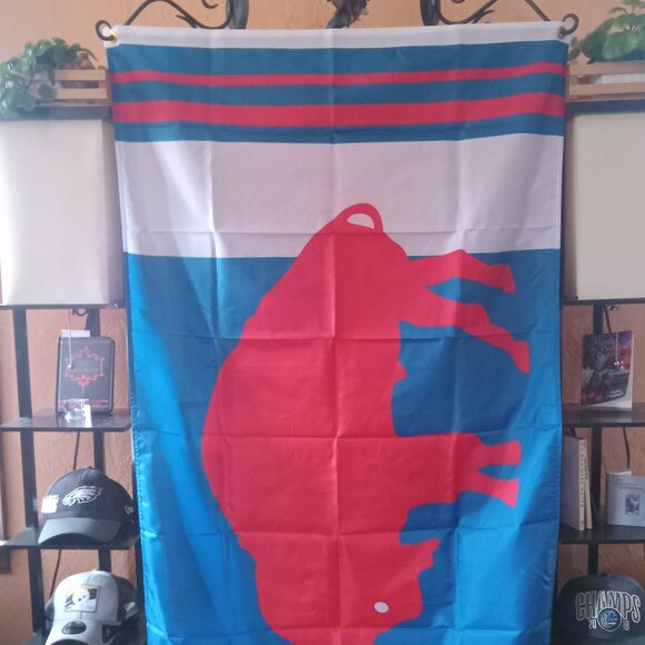 NEW Buffalo Bills Retro Bison Logo NFL 3X5 Feet Flag Banner Wall Decor or Pole - Picture 4 of 5